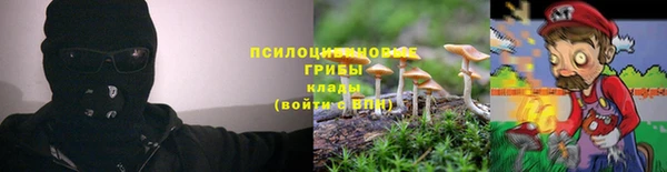 spice Верхний Тагил