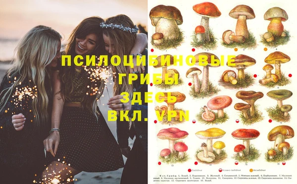 альфа пвп Вяземский