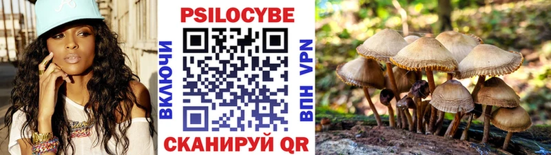 Псилоцибиновые грибы Cubensis  где можно купить наркотик  Кадников 